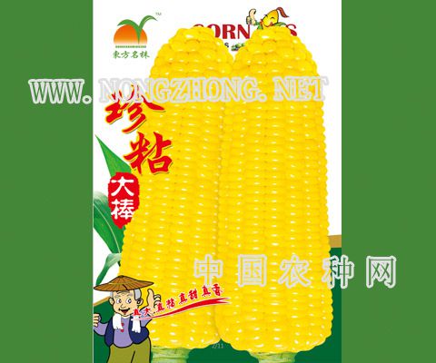 珍粘大棒
